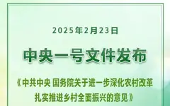 2025年中央一号文件（全文）